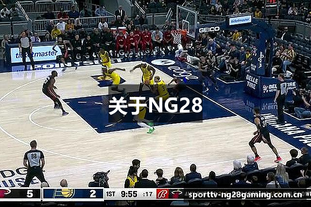 关于NG28